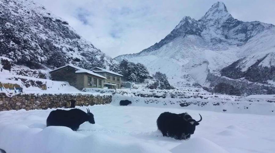 Annapurna Circuit Trek In Winter